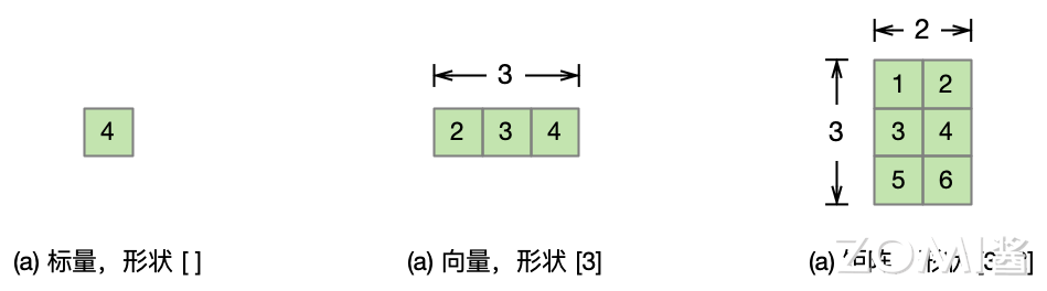 标量、向量与矩阵示例